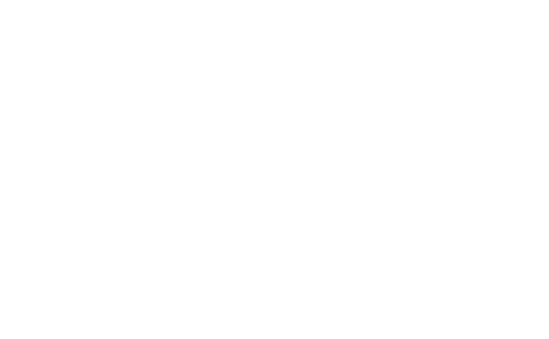 Stebelton Snider logo